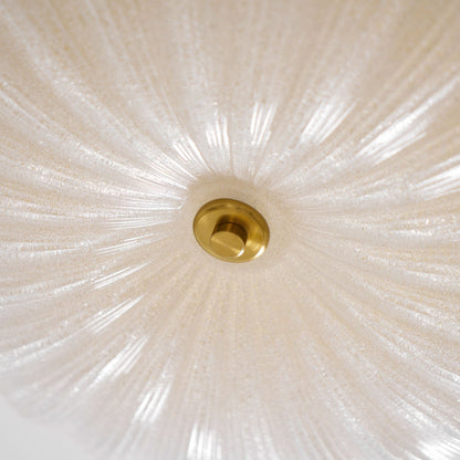 Frosted Ceiling Light