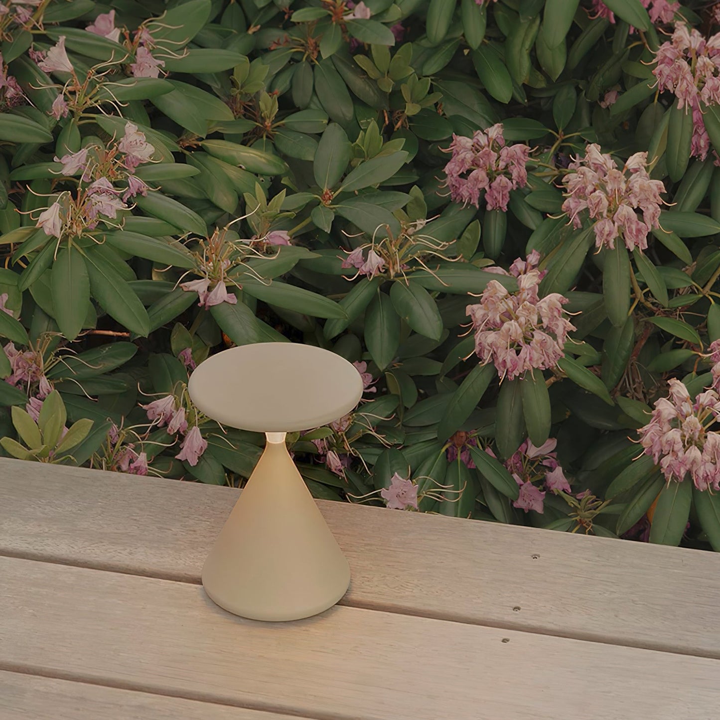 Rechargeable Ambient Table Lamp