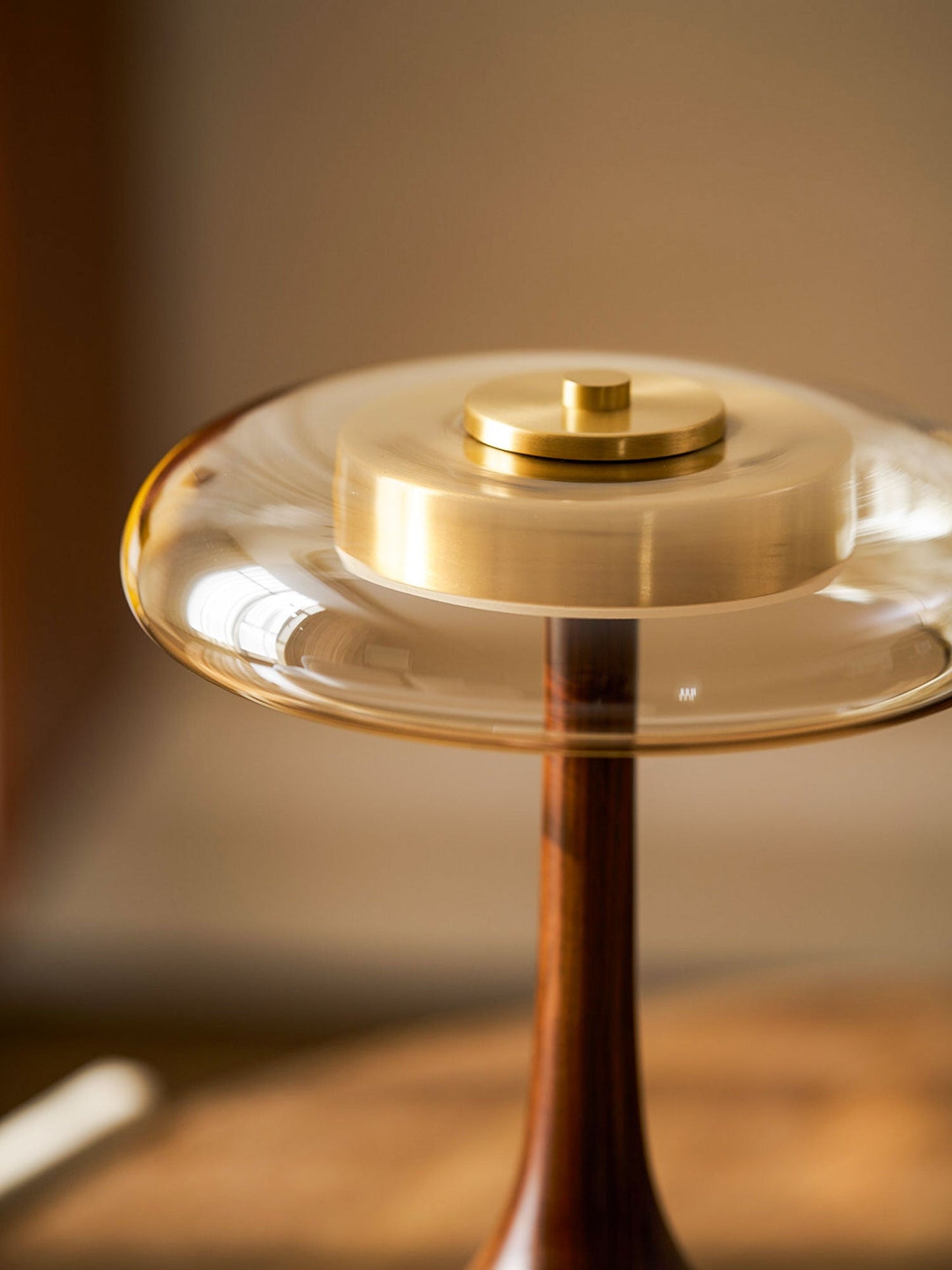 Warm Curve Table Lamp