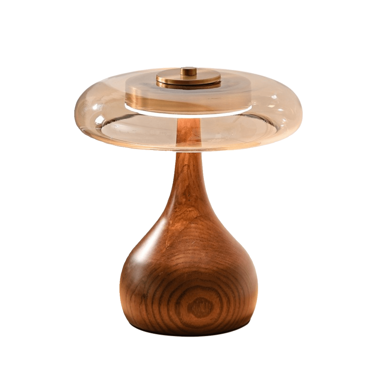 Warm Curve Table Lamp