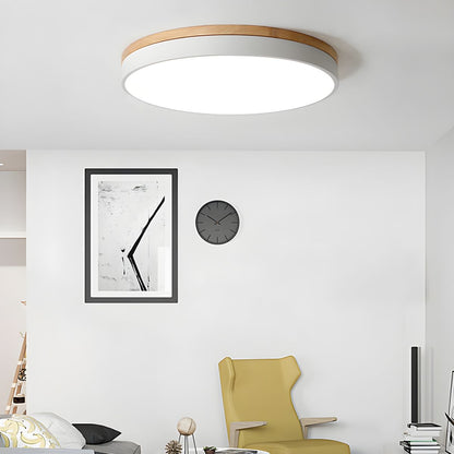 Softframe Ceiling Light